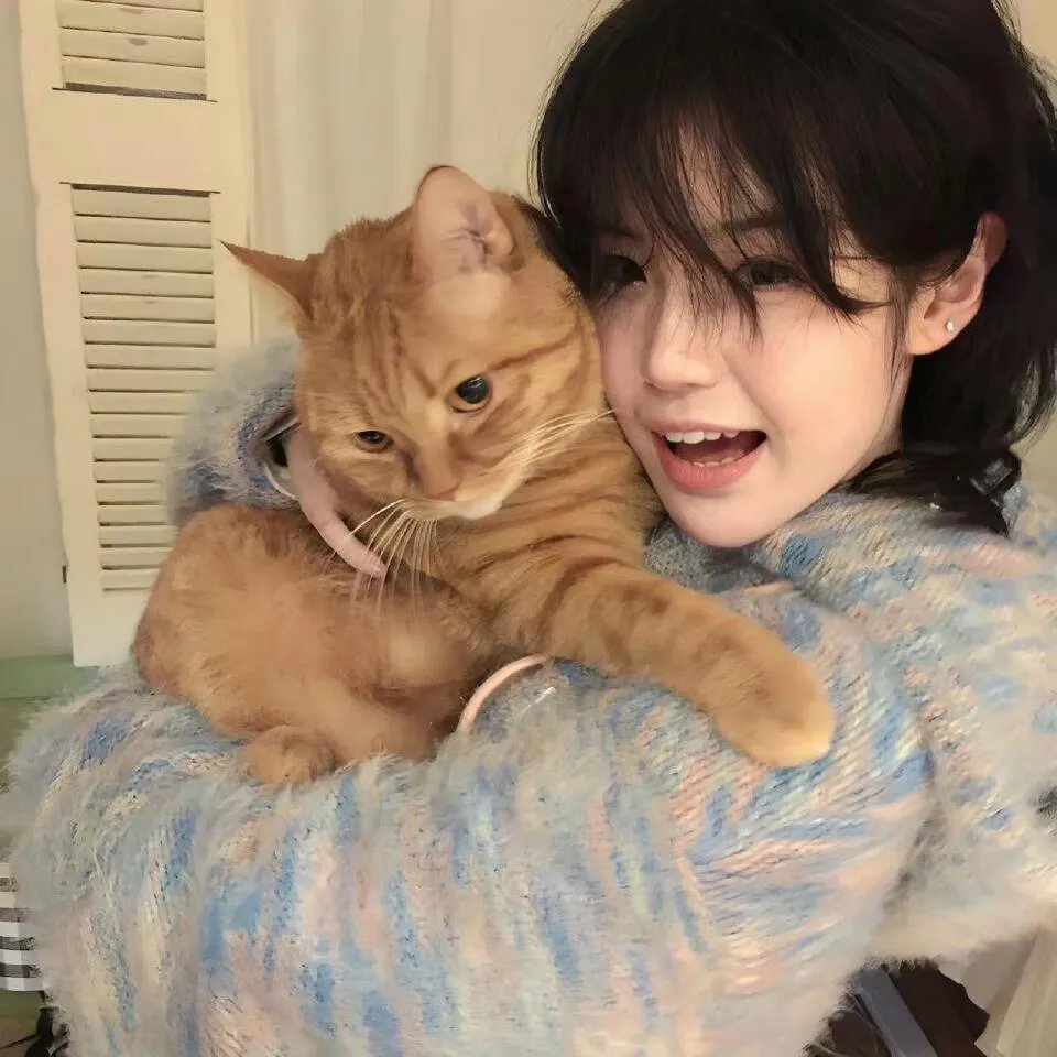 非洲大猫